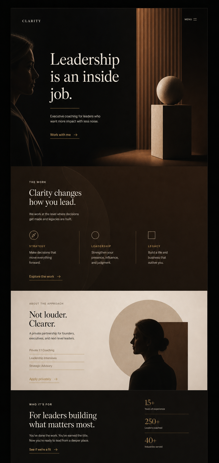 Executive coach demo website preview